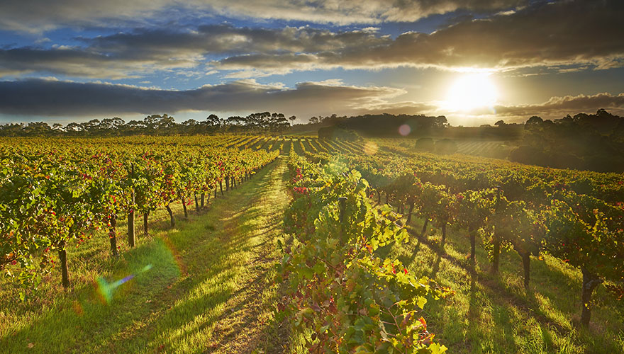 View Margaret River Wineries Tours PNG
